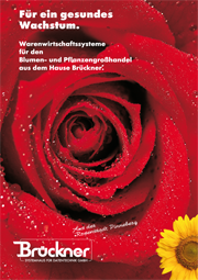 brueckner_blumenflyer